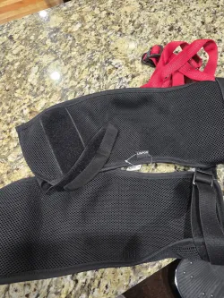 Dog Hip Dysplasia Brace review Rachel Armstrong