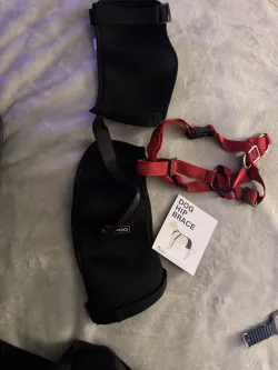 Dog Hip Dysplasia Brace review Elaine Tom 01