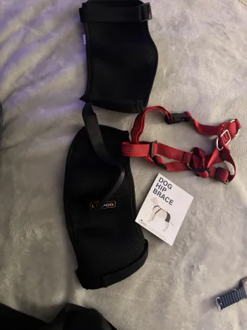Dog Hip Dysplasia Brace review Elaine Tom 01