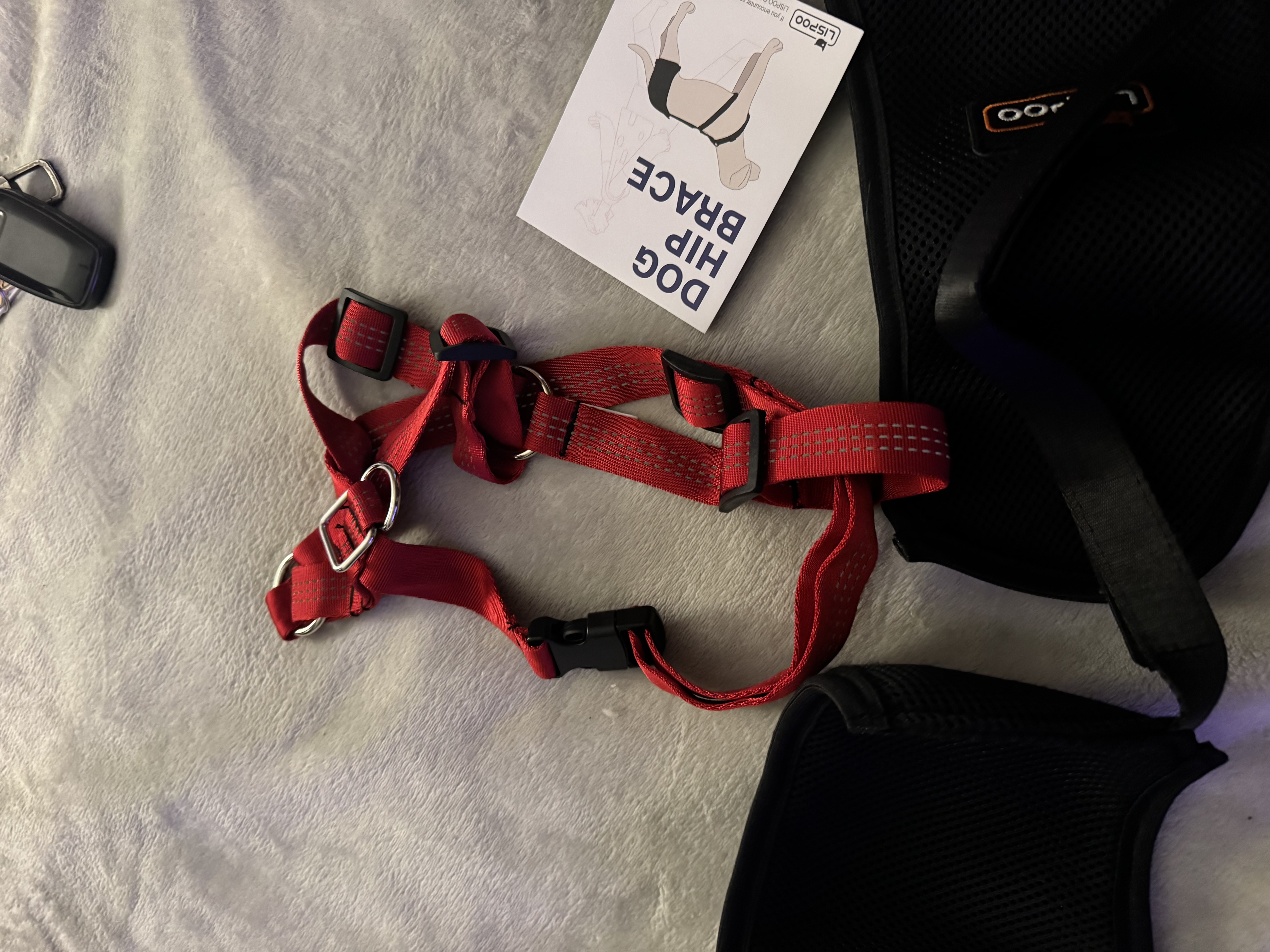 Dog Hip Dysplasia Brace review Elaine Tom 02