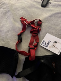 Dog Hip Dysplasia Brace review 1