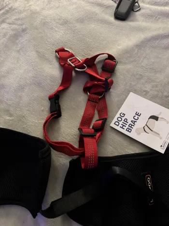 Dog Hip Dysplasia Brace review Elaine Tom 02