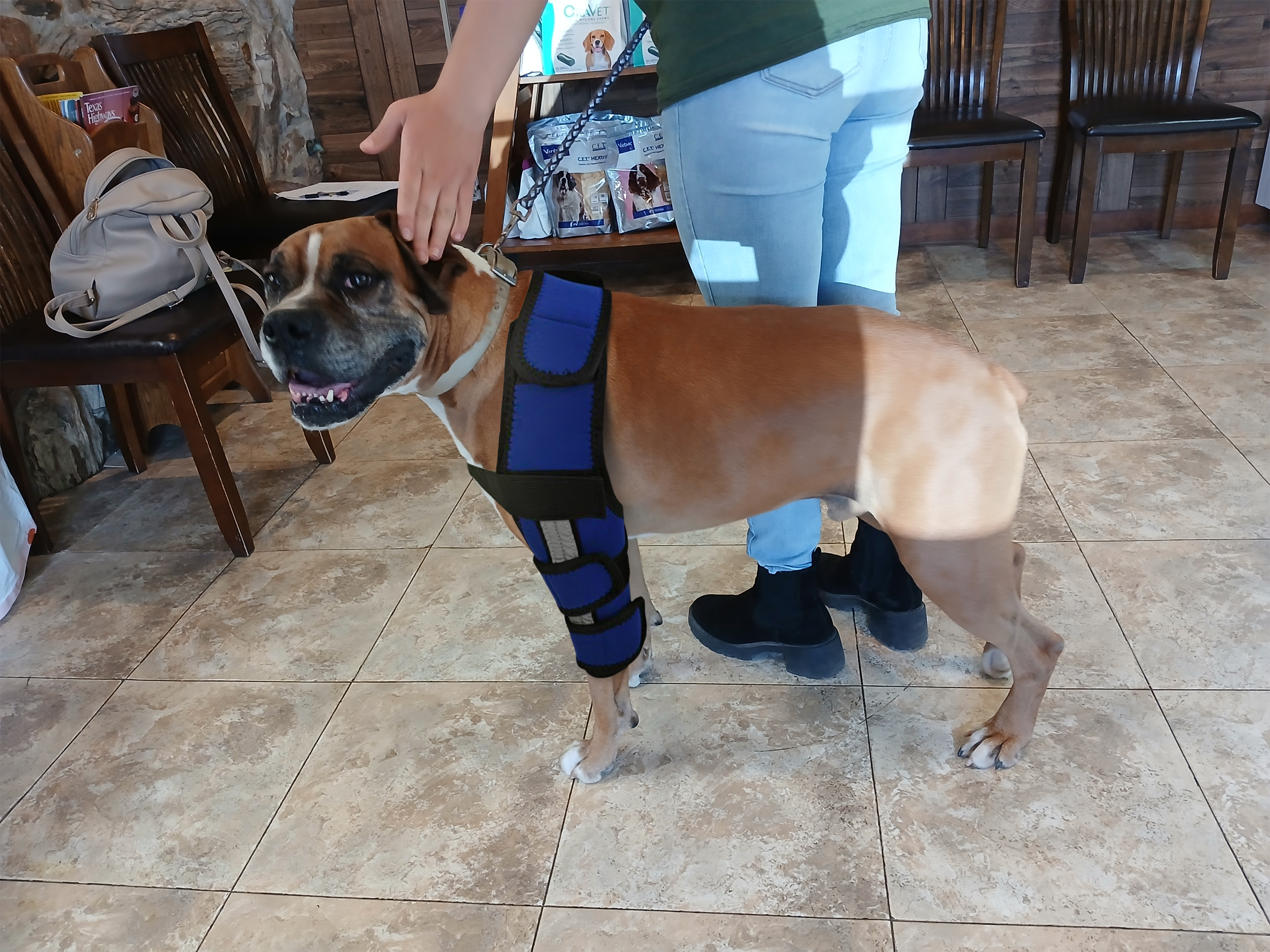 Hinged Dog Shoulder Support Brace review Mike Haywood