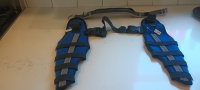 Hinged Dog Double Leg Brace review 0