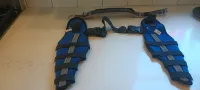 Hinged Dog Double Leg Brace review 0