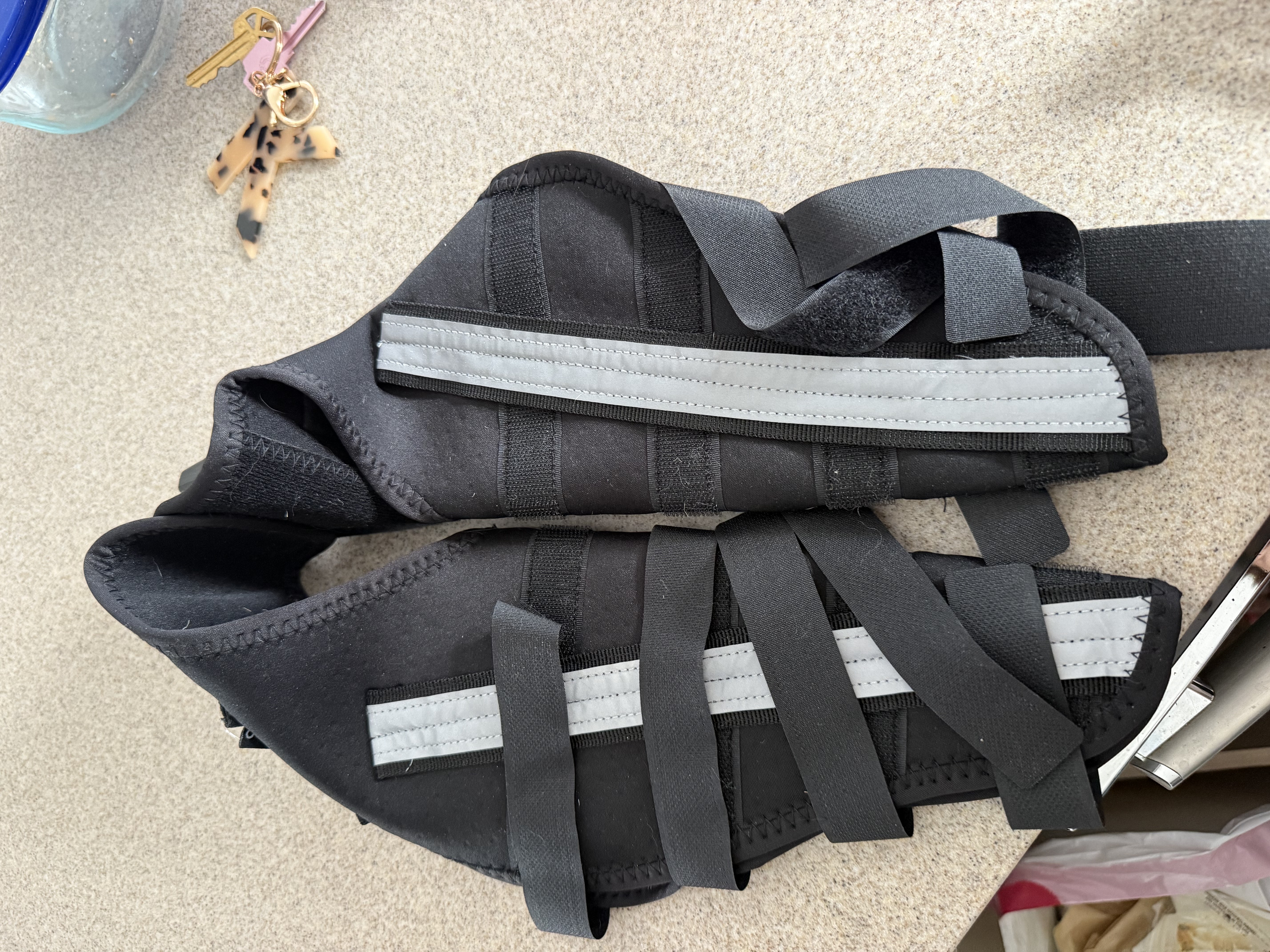 Hinged Dog Double Leg Brace review Bruno Nelly