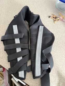 Hinged Dog Double Leg Brace review Bruno Nelly