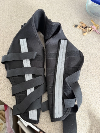 Hinged Dog Double Leg Brace review 