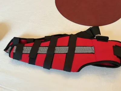 Hinged Dog Double Leg Brace Red review 