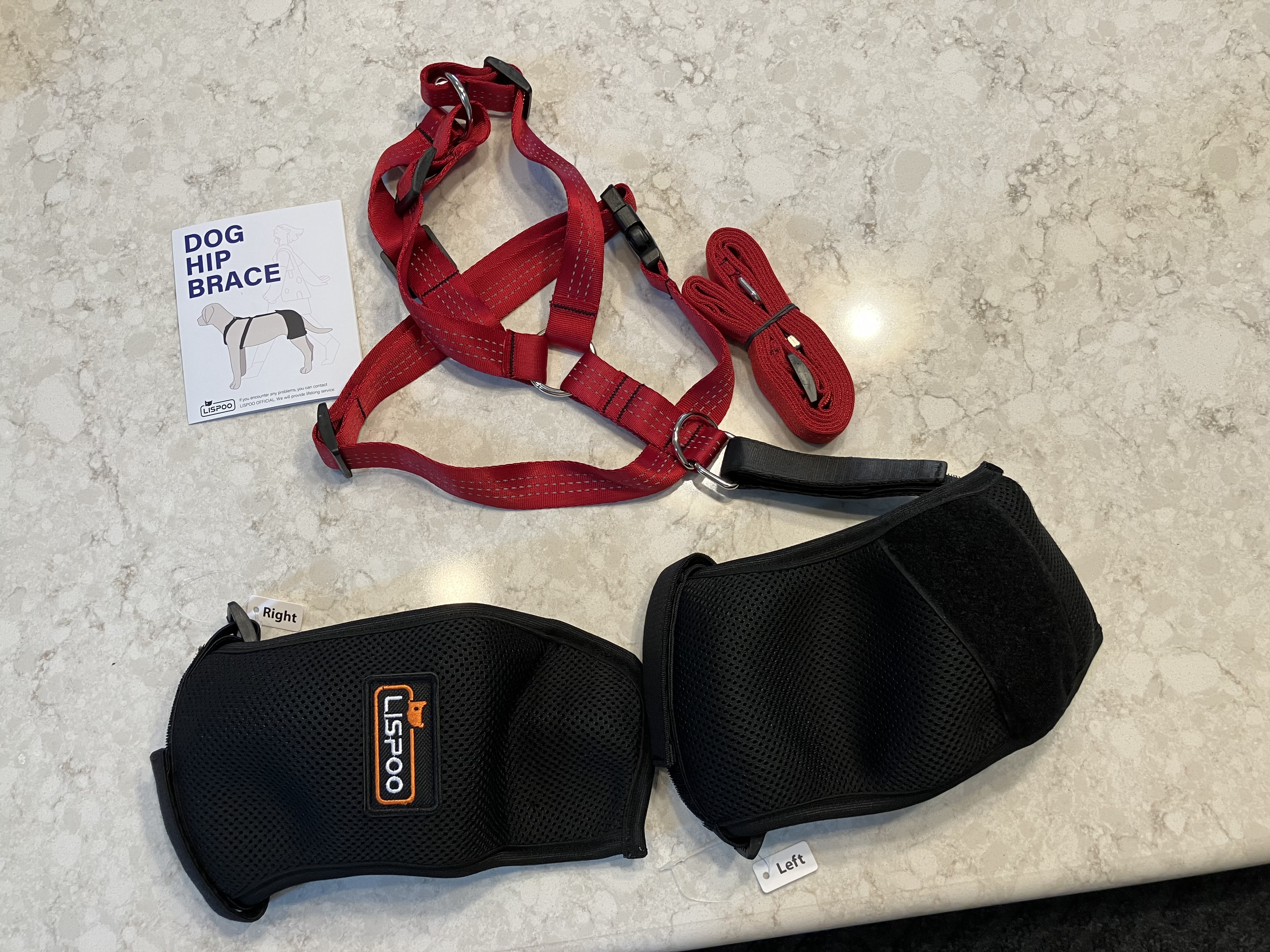 Dog Hip Dysplasia Brace review Blanche Fox