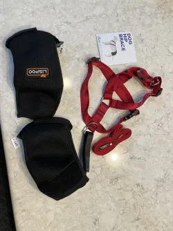 Dog Hip Dysplasia Brace review Blanche Fox