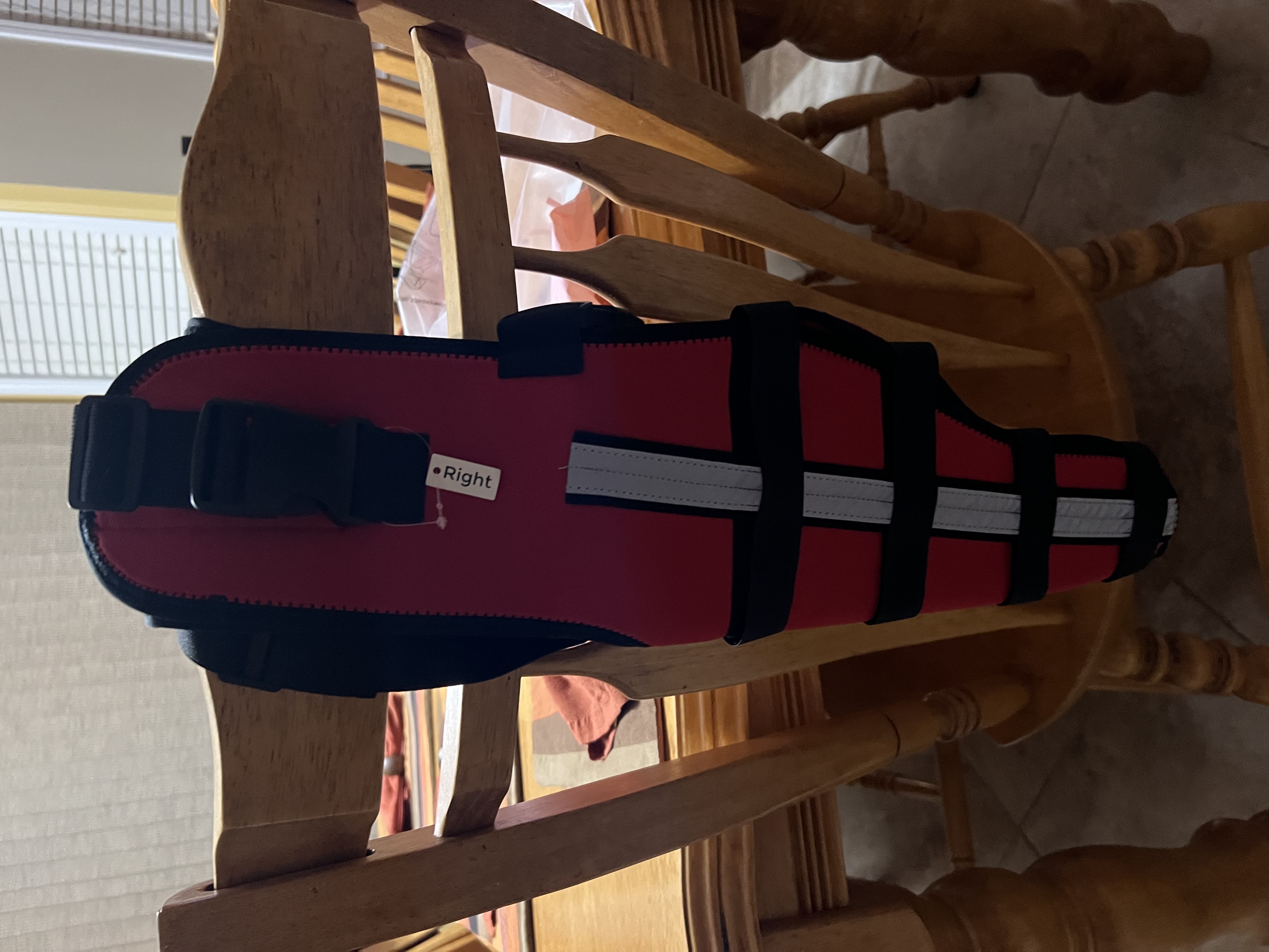 Hinged Dog Double Leg Brace review Valentine Strachey