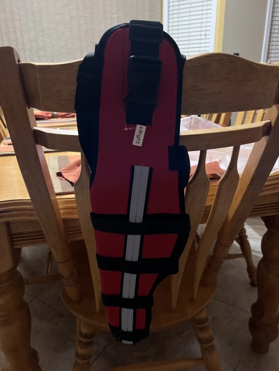 Hinged Dog Double Leg Brace review 