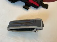 Nylon Webbing Dog Collar review 0