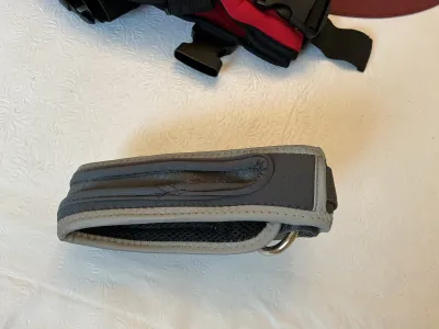 Nylon Webbing Dog Collar review 