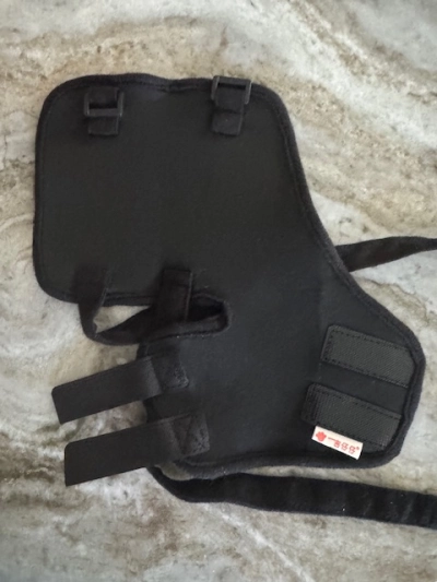 Dog Hip Hound Brace review 