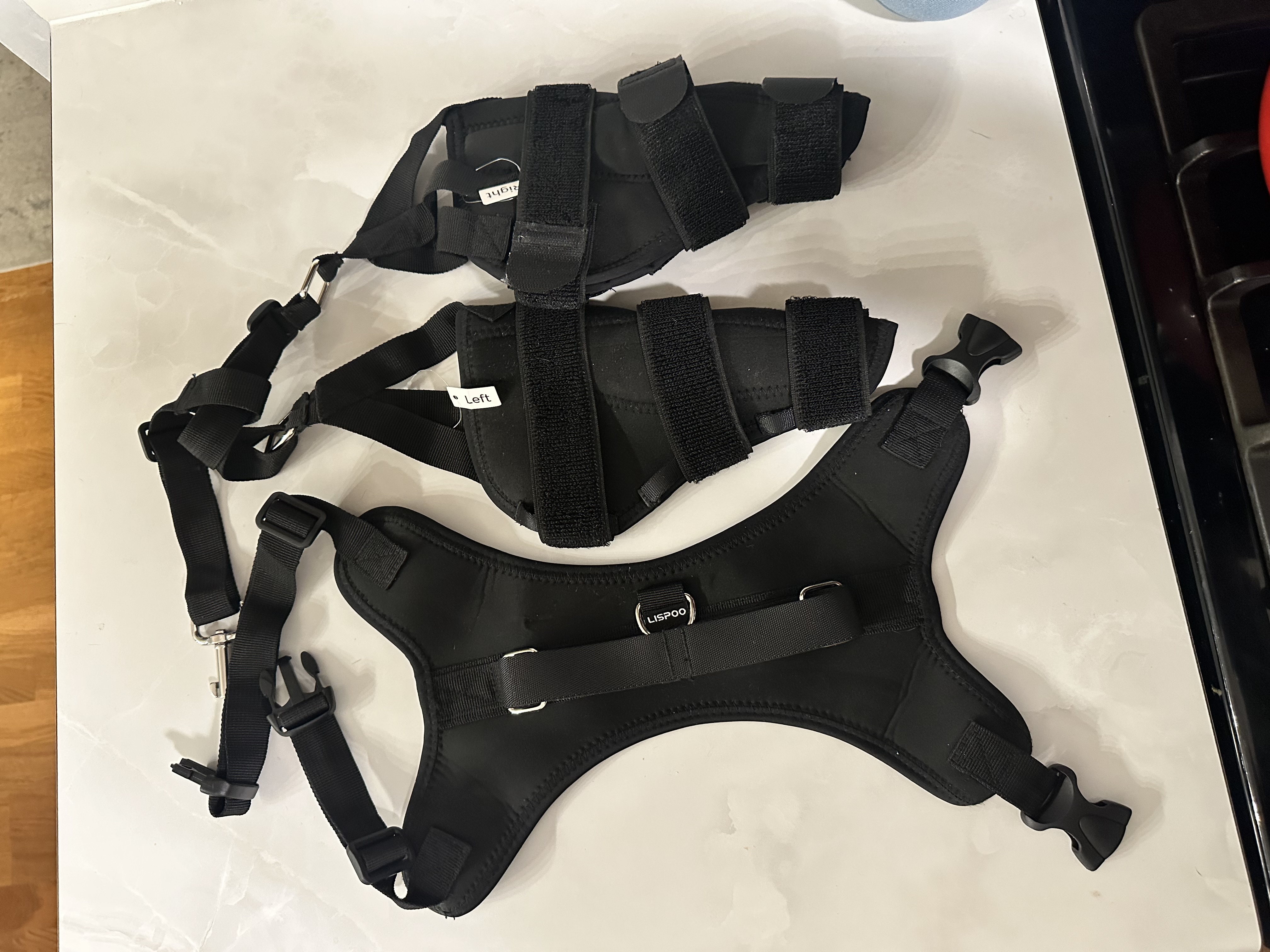 Dog Torn Acl Brace review Barbara Eugen