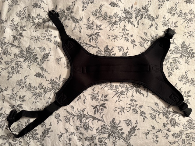 Dog Torn Acl Brace review Duke Effie 03