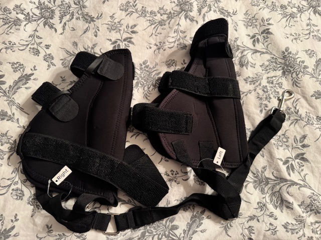 Dog Torn Acl Brace review Duke Effie 04