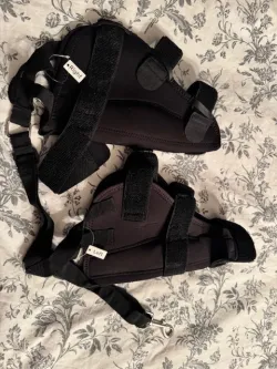 Dog Torn Acl Brace review Duke Effie 04