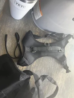 Dog Torn Acl Brace review Sandra Fast 01