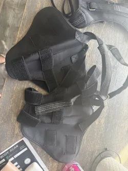 Dog Torn Acl Brace review Sandra Fast 03