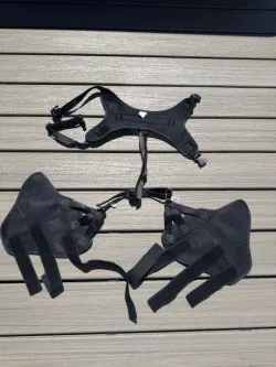 Dog Torn Acl Brace review Barbara Eugen