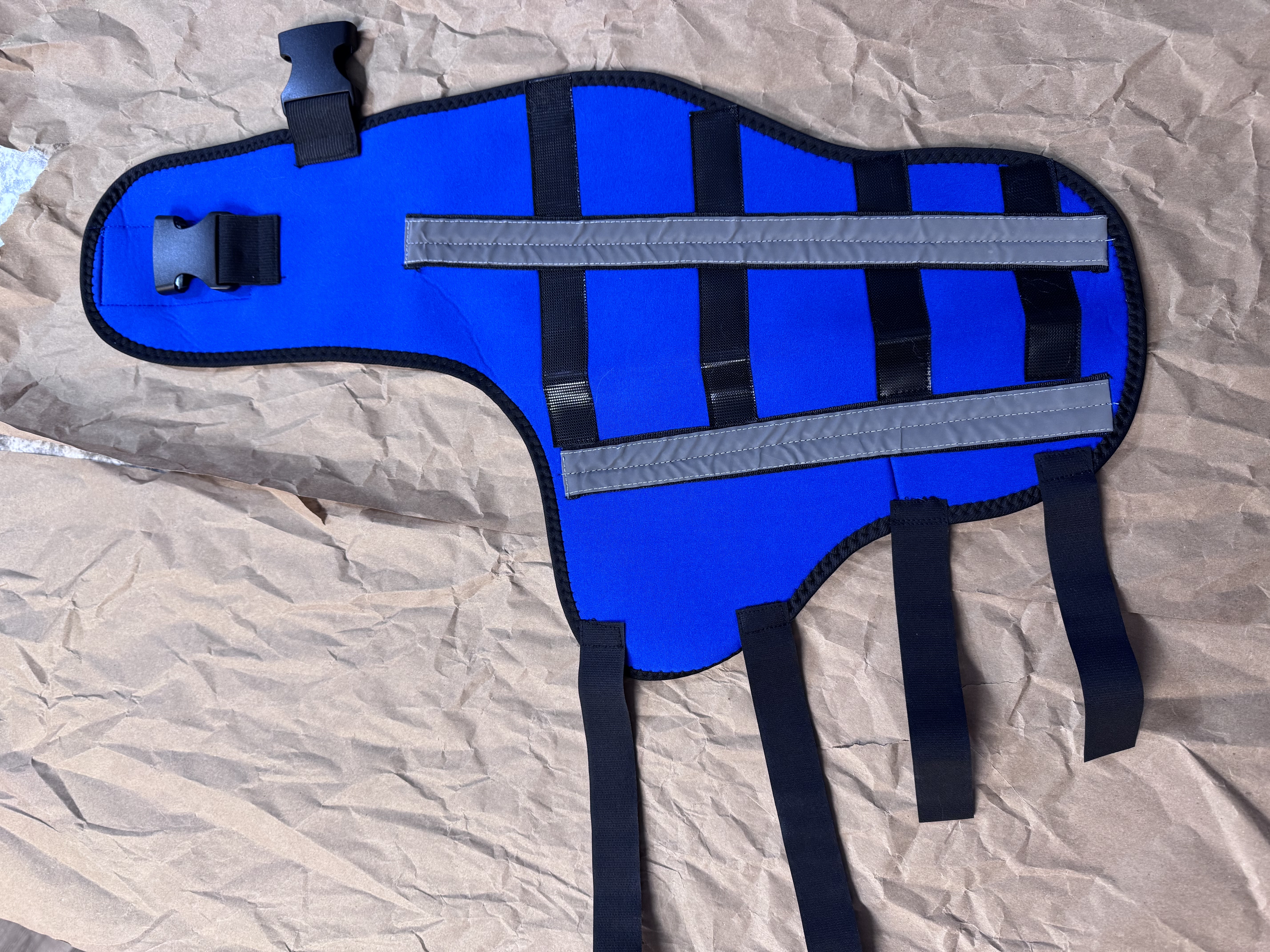 Hinged Dog Double Leg Brace review Lesley Milne 02