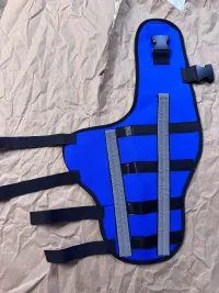 Hinged Dog Double Leg Brace review 1