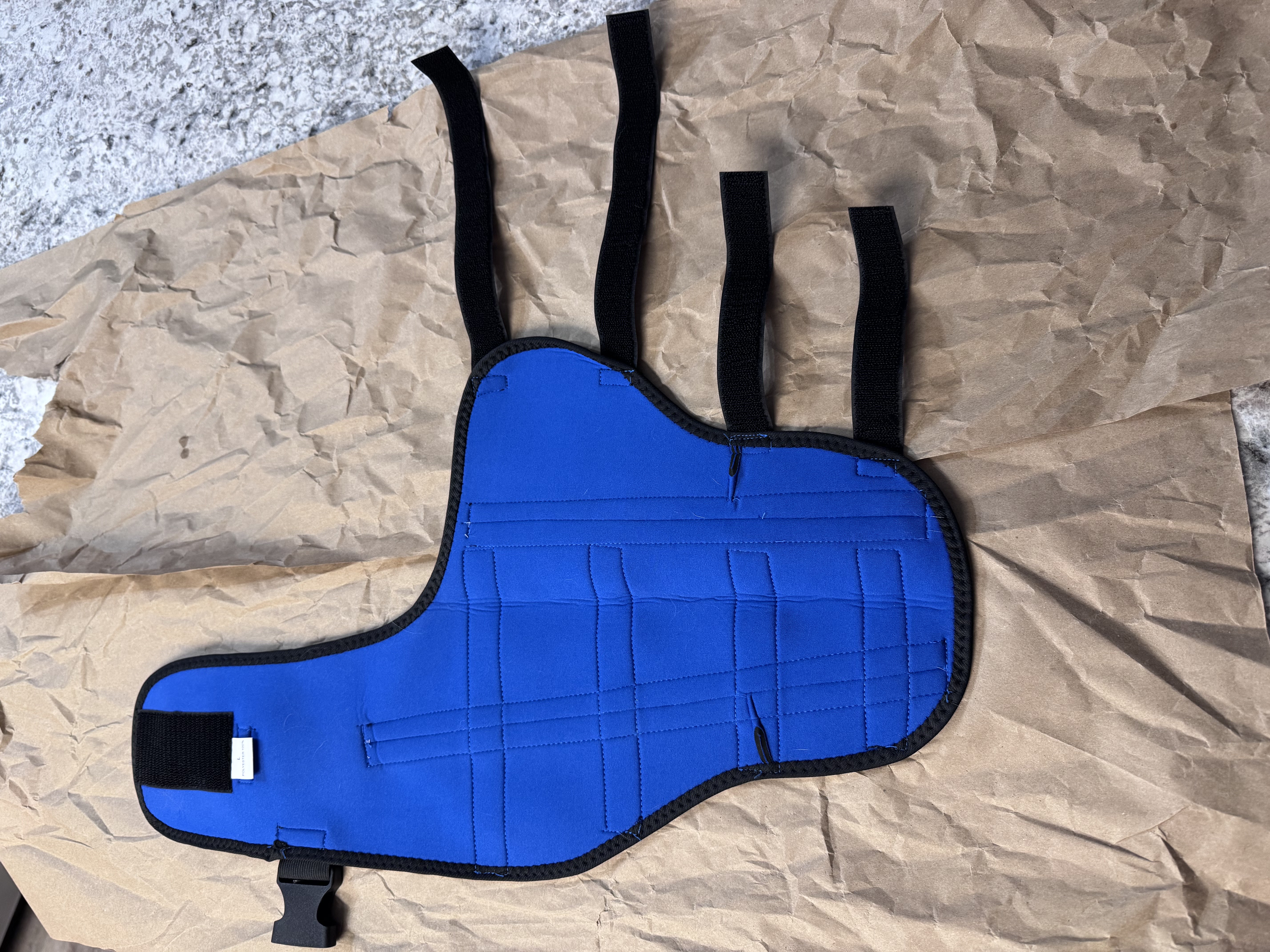 Hinged Dog Double Leg Brace review Lesley Milne 03