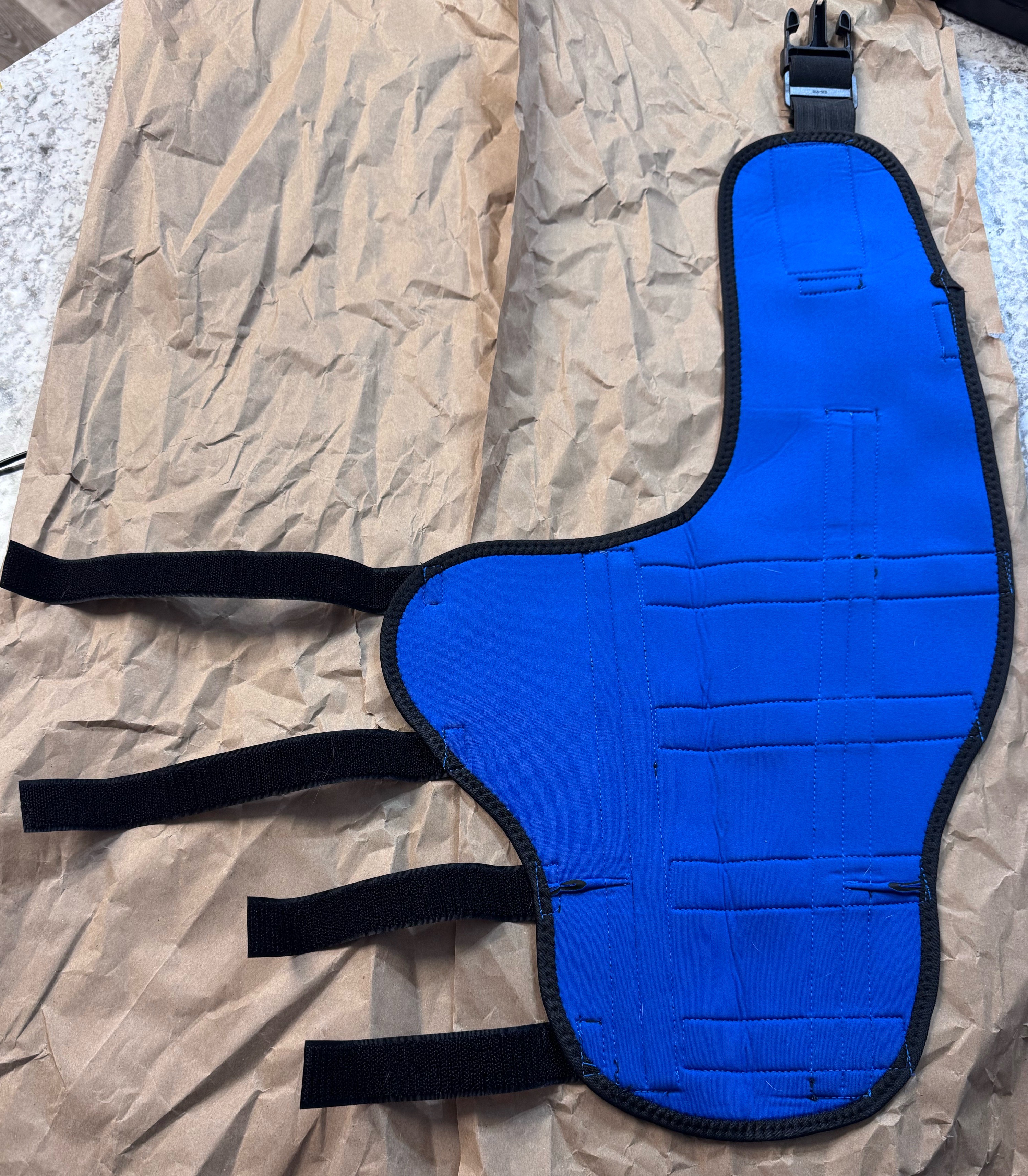 Hinged Dog Double Leg Brace review Lesley Milne 05