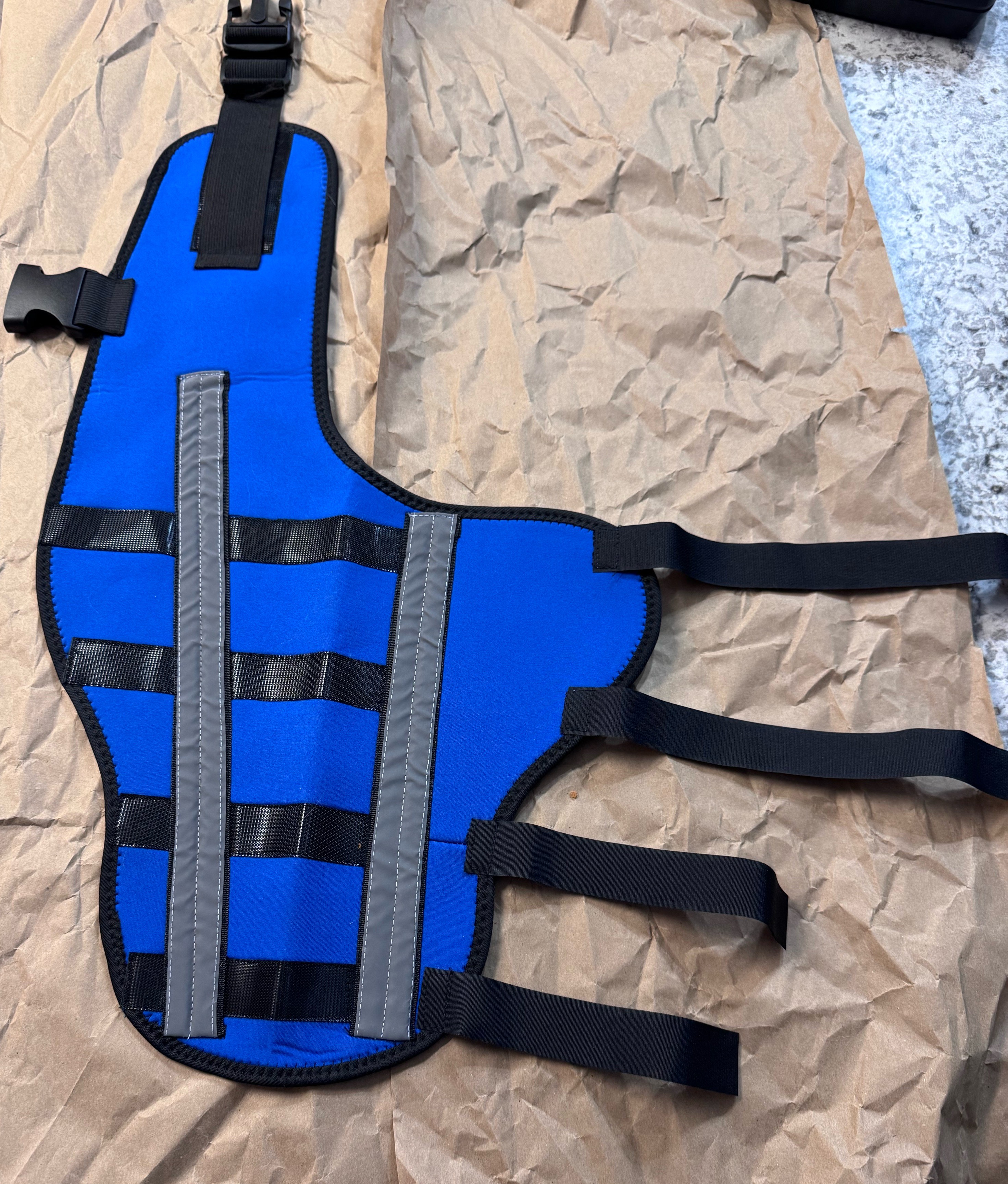 Hinged Dog Double Leg Brace review Lesley Milne 04