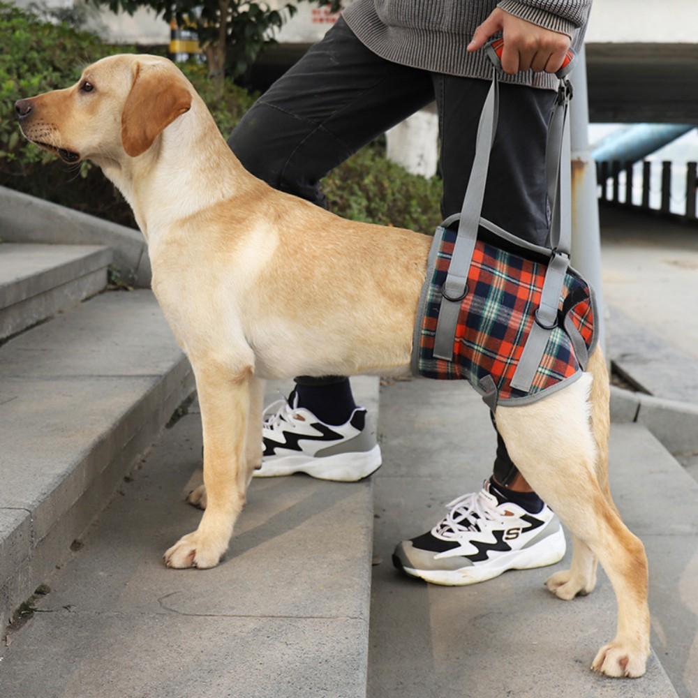 Grid Dog Lift Harness for Back Legs