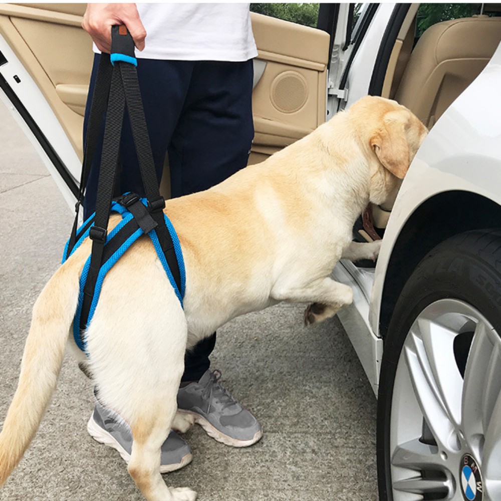 Dog Rear Harness with Handle for Lifting