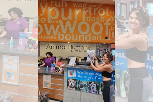 Donation from LOVEPLUSPET to Animal Humane New Mexico