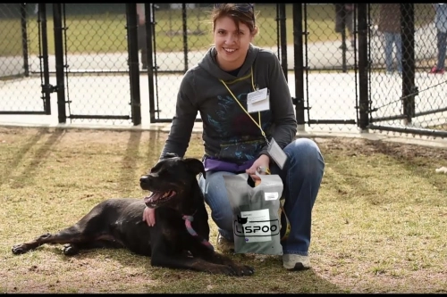 Donation from LOVEPLUSPET to Family Dogs New Life Shelter