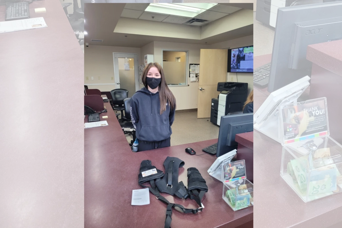 EDMONTON HUMANE SOCIETY | Lovepluspet Update for Donation