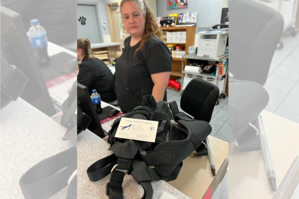 Animal Hopital of Lubbock | Lovepluspet Update for Donation