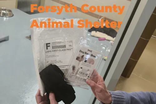 Donation from LOVEPLUSPET to Forsyth CountyAnimal Shelter