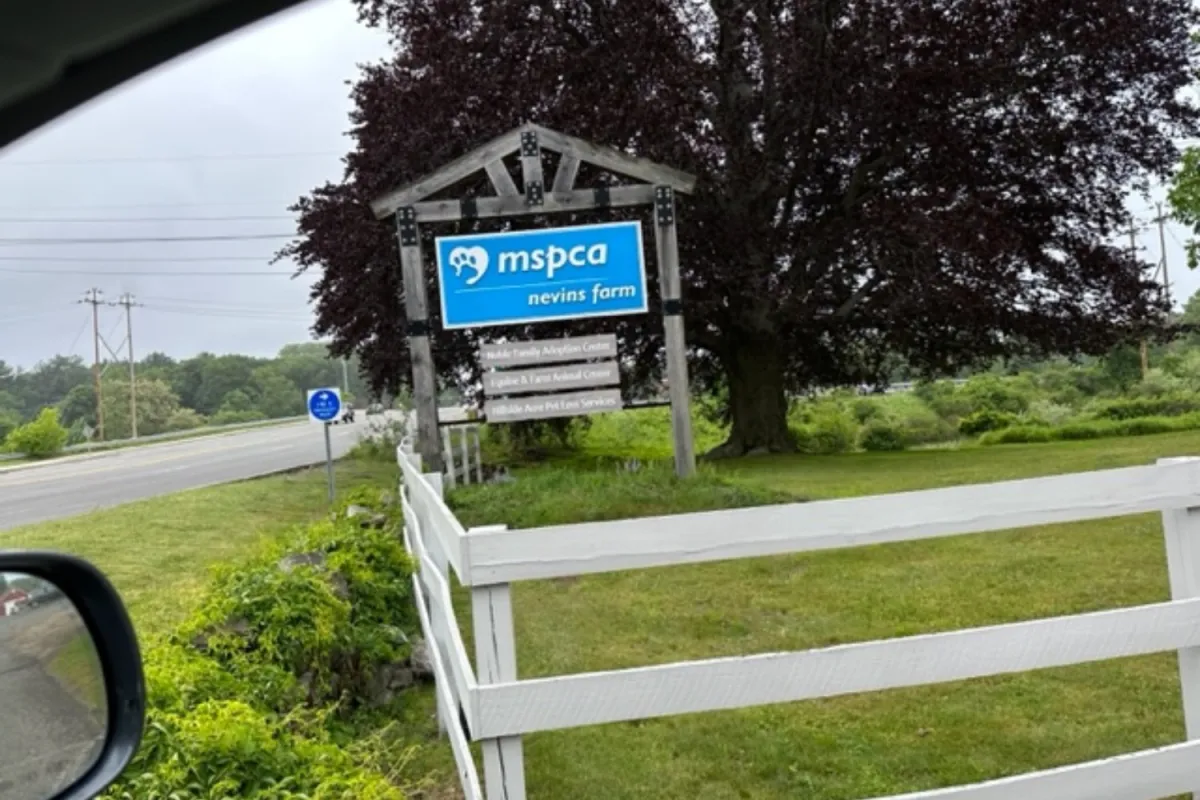 MSPCA