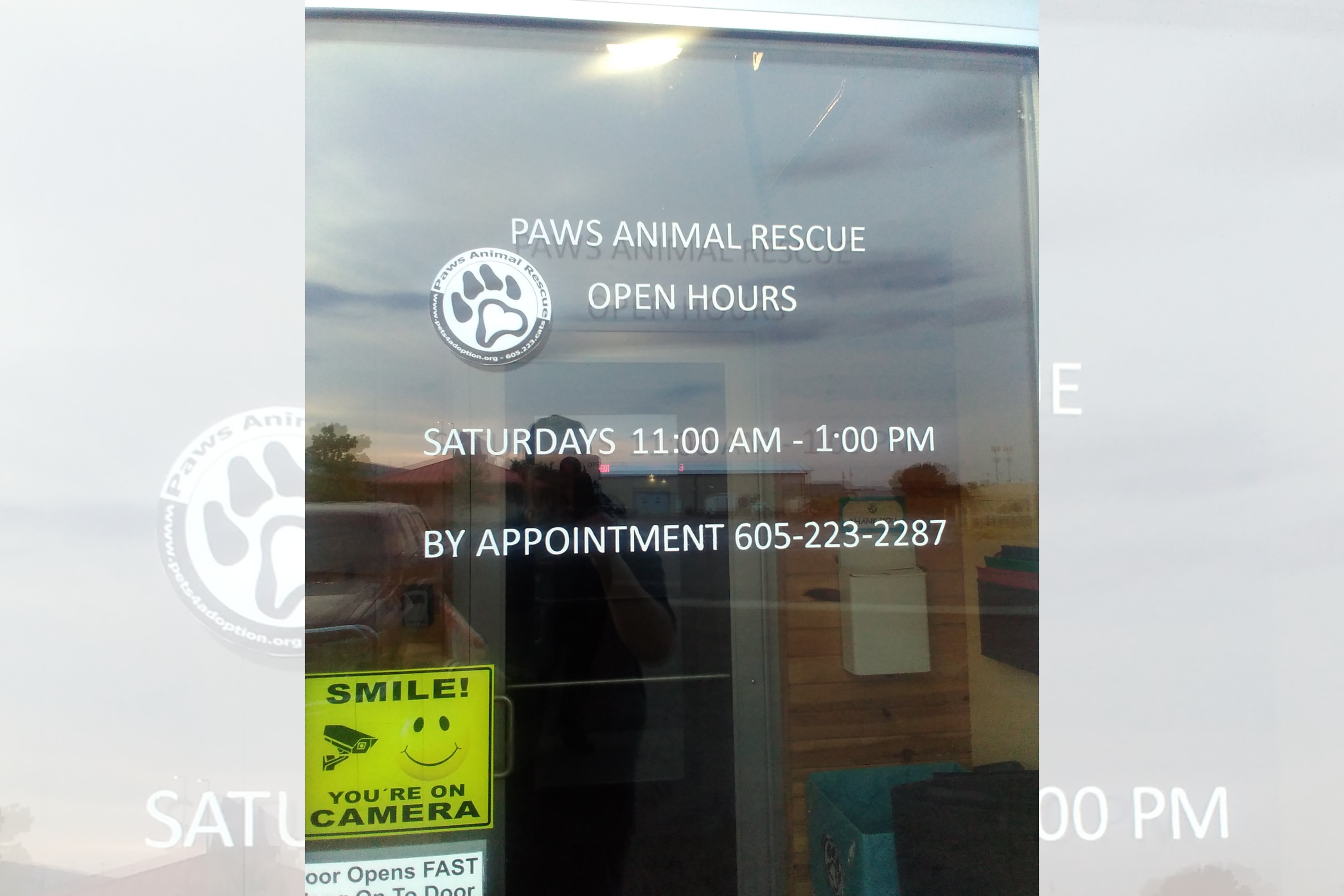 PAWS ANIMAL RESCUE OPEN HOURS