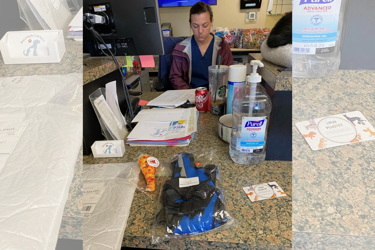 BALDWIN COUNTY ANIMAL SHELTER