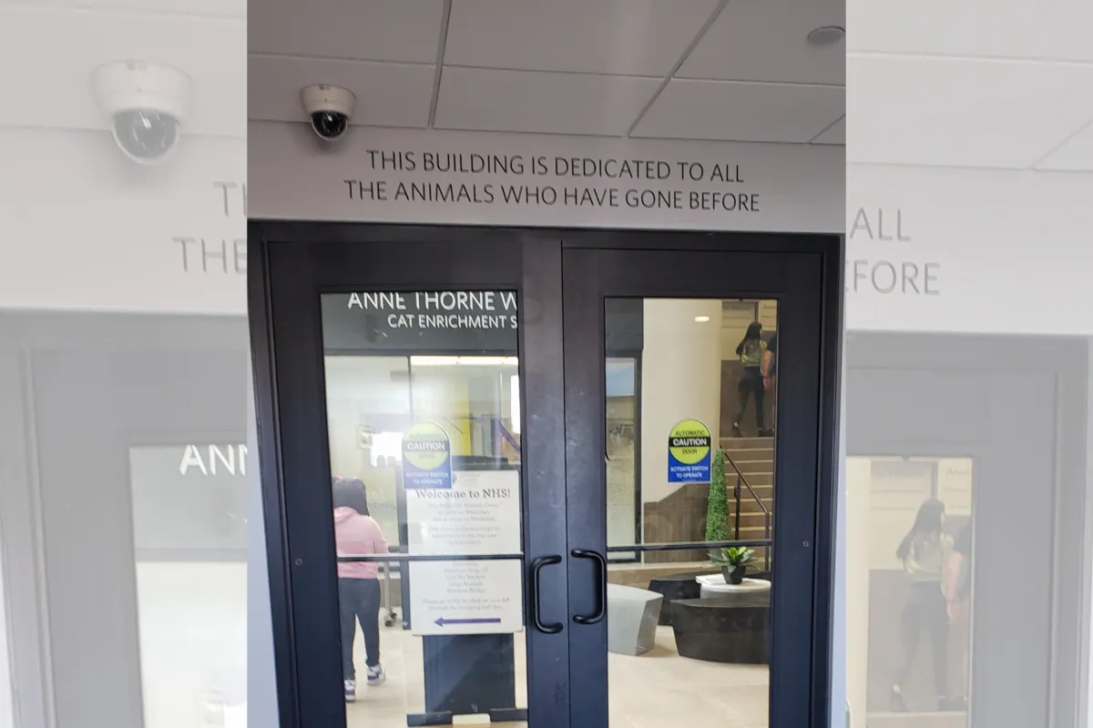 THIS BUILDING IS DEDICATED TO ALLTHE ANIMALS WHO HAVE GONE BEFORE