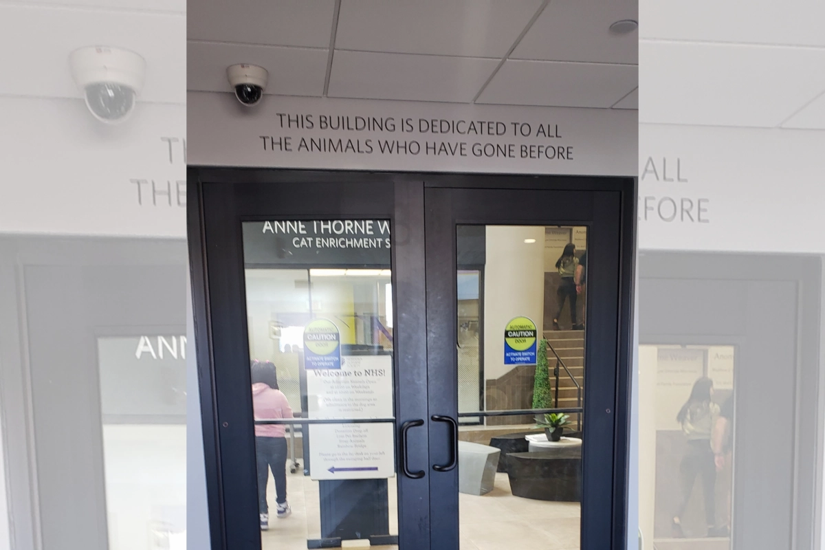 THIS BUILDING IS DEDICATED TO ALLTHE ANIMALS WHO HAVE GONE BEFORE