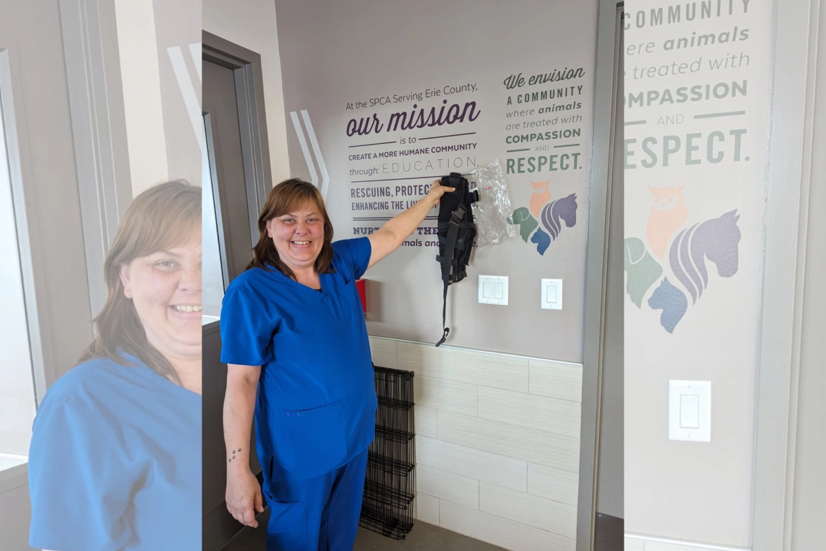 Customer Vanessa Guite | Donation From LOVEPLUSPET