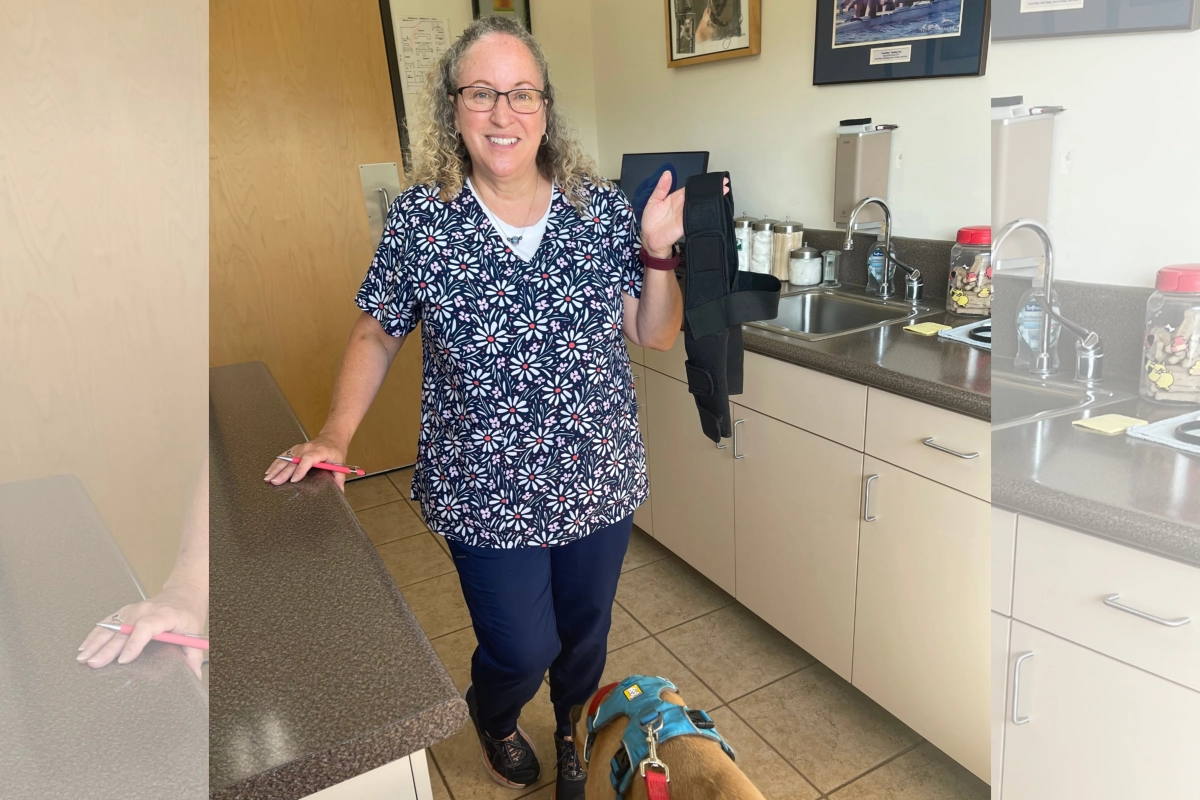 LOVEPLUSPET | Donation Activity for Dogs | Dog Double Elbow Brace