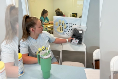 LOVEPLUSPET | Donation Activity for Dogs | Dog Torn Acl Brace