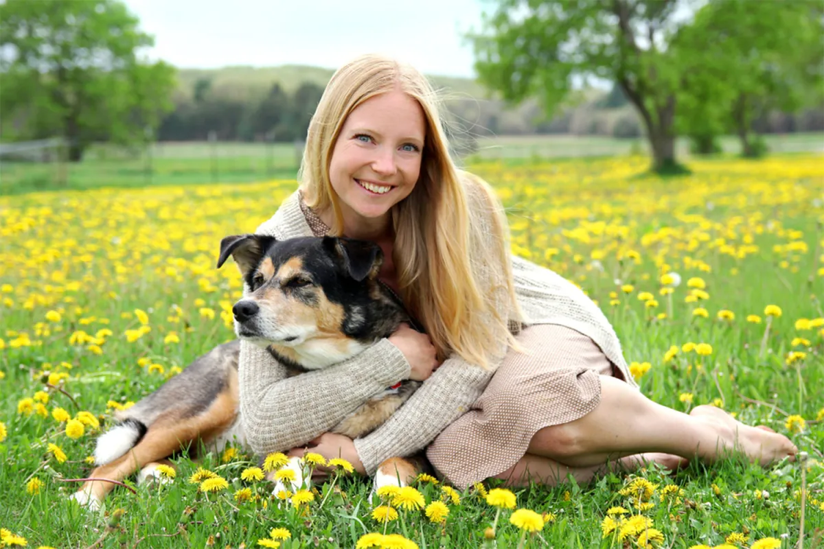 How to Care and Treat a Dog with Arthritis in the Back Legs？