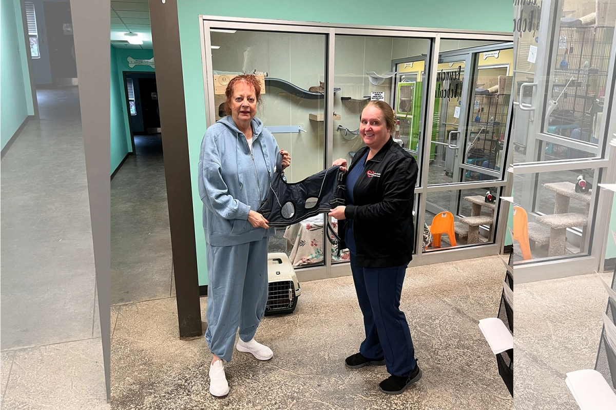 LOVEPLUSPET | Donation Activity for Dogs | Dog Lift Harness Full Body Support