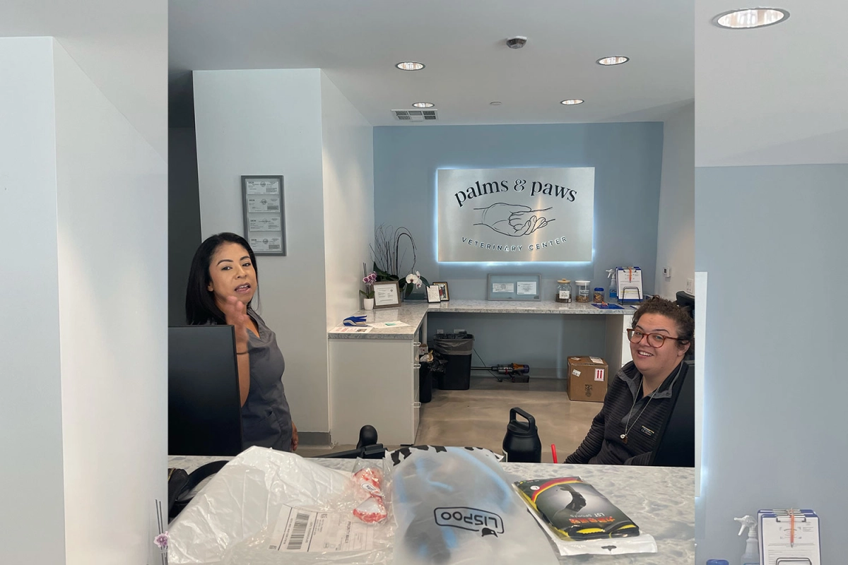 LOVEPLUSPET | Donation Activity for Dogs | Dog Rear Harness with Handle for Lifting